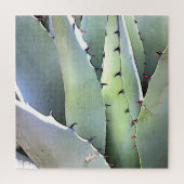 Agave Succulent Plant Cactus Green Legpuzzel (Verticaal)