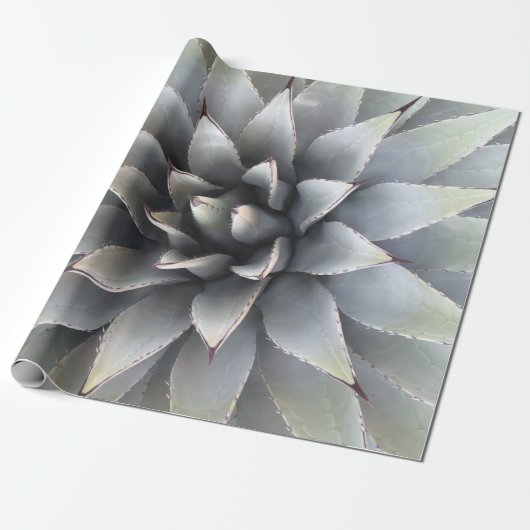 Agave Succulent Plant Cactus Green sage Cadeaupapier (Uitgerold)