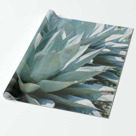 Agave Succulent Plant Cactus Green sage grijs Cadeaupapier (Uitgerold)