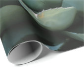 Agave Succulent Plant Cactus Green sage grijs Cadeaupapier (Rol Hoek)