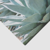 Agave Succulent Plant Cactus Green sage grijs Tissuepapier (Detail)