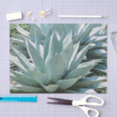 Agave Succulent Plant Cactus Green sage grijs Tissuepapier (Craft)