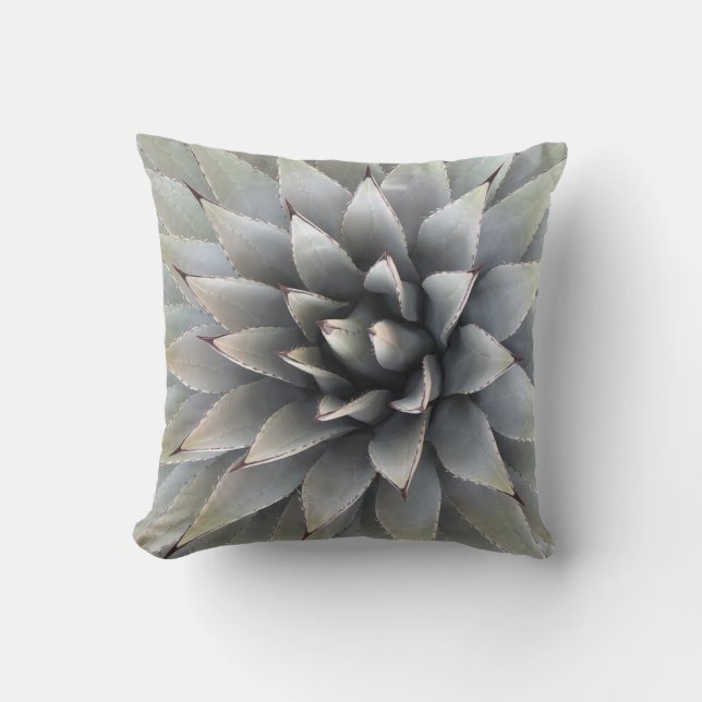 Agave Succulent Plant Cactus Green sage Kussen (Voorkant)