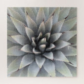 Agave Succulent Plant Cactus Green sage Legpuzzel (Horizontaal)