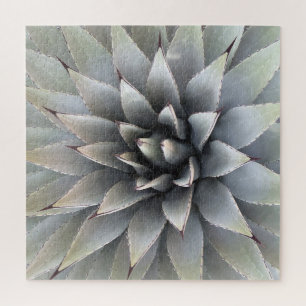 Agave Succulent Plant Cactus Green sage Legpuzzel