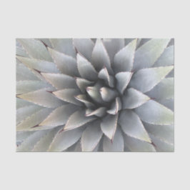 Agave Succulent Plant Cactus Green sage Tissuepapier