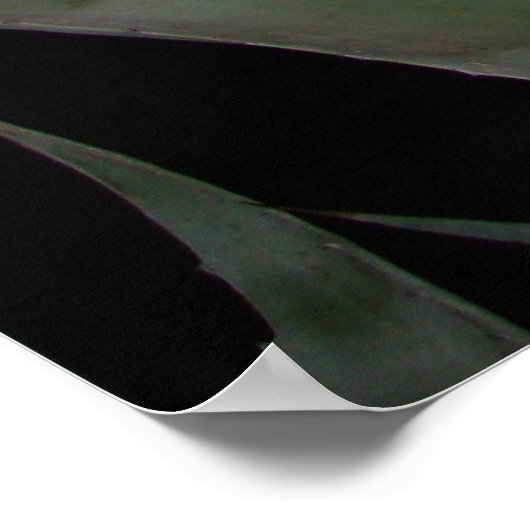 Agave Sunset Poster (Hoek)