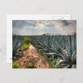 Agave Tequilana Briefkaart (Voorkant / Achterkant)