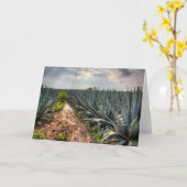 Agave Tequilana Kaart (Gele Bloem)