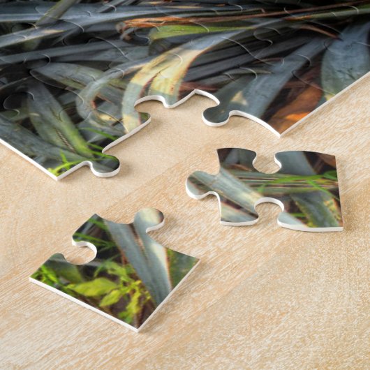 Agave Tequilana Legpuzzel (Zijkant)