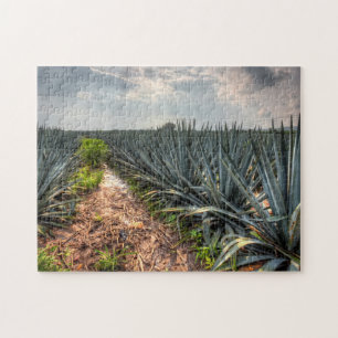 Agave Tequilana Legpuzzel