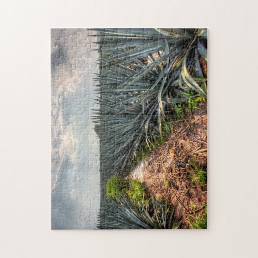 Agave Tequilana Legpuzzel (Verticaal)