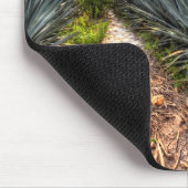 Agave Tequilana Muismat (Hoek)