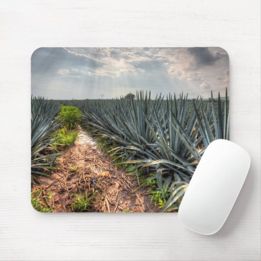 Agave Tequilana Muismat (Met muis)
