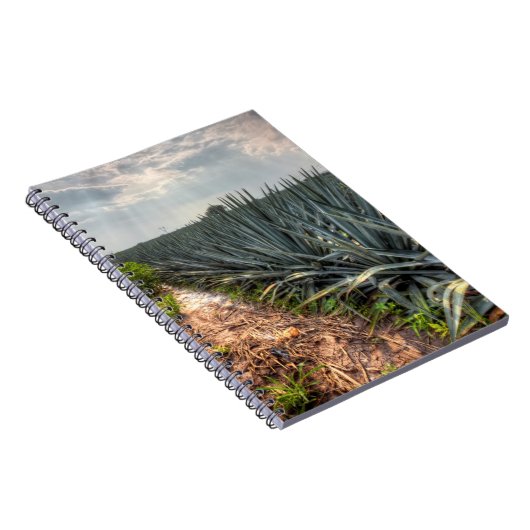 Agave Tequilana Notitieboek (Rechterzijde)