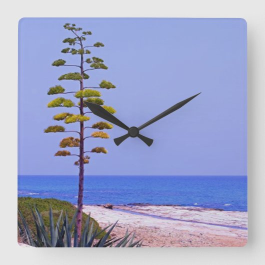 Agave Tree - Vierkante Klok (Voorkant)