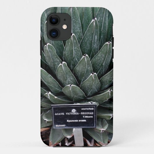 Agave Victoria Foto iPhone SE + iPhone 5/5S Case-Mate iPhone Case (Achterkant)