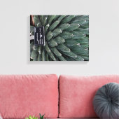 Agave Victoria Plant Foto Verpakte Canvas Print (Insitu (Woonkamer))