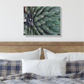 Agave Victoria Plant Foto Verpakte Canvas Print (Insitu (Slaapkamer))