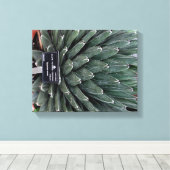 Agave Victoria Plant Foto Verpakte Canvas Print (Insitu (Houten vloer))
