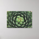 Agave victoriae-reginae Canvas Print (Voorkant)