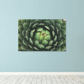 Agave victoriae-reginae Canvas Print (Insitu (Houten vloer))