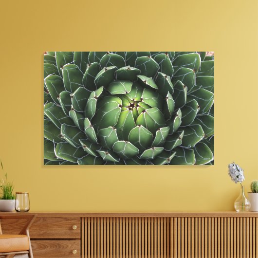 Agave victoriae-reginae Canvas Print (Insitu (Woonkamer))