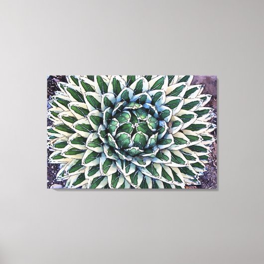 Agave victoriae-reginae Canvas Print (Voorkant)