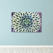 Agave victoriae-reginae Canvas Print (Insitu (Houten vloer))