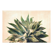 Agave Waterverf schilderij Zuidwesten Sage Groen Foto Afdruk (Voorkant)