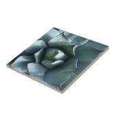 agaveblauw tegeltje (Zijkant)