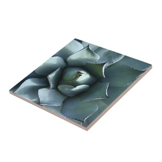 agaveblauw tegeltje (Zijkant)