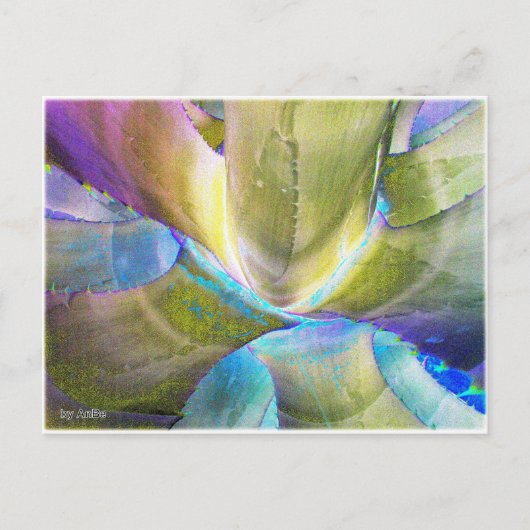 Agavemetall Briefkaart (Voorkant)