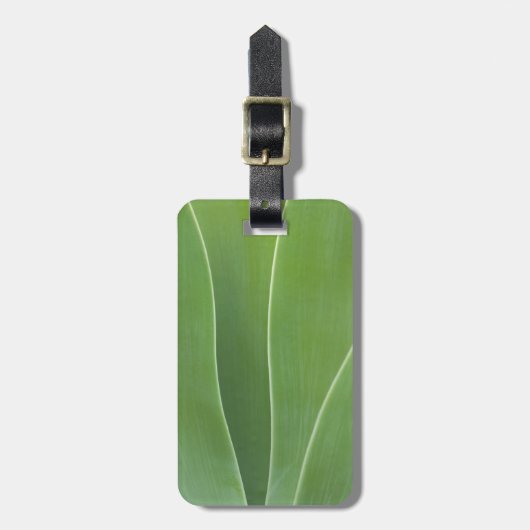 Agaveplant Close-up Bagagelabel (Voorkant verticaal)