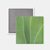 Agaveplant Close-up Magneet (Voorkant / Achterkant)