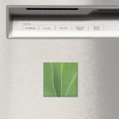Agaveplant Close-up Magneet (Insitu (Vaatwasser))