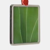 Agaveplant Close-up Metalen Ornament (Rechts)