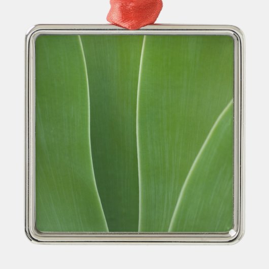 Agaveplant Close-up Metalen Ornament (Voorkant)
