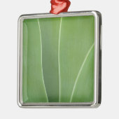Agaveplant Close-up Metalen Ornament (Links)