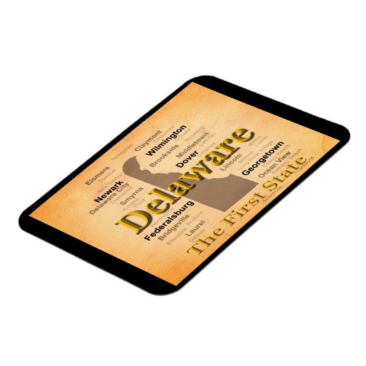Aged Delaware State Pride Map Magneet (Linkerzijde)