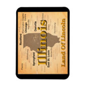 Aged Illinois State Pride Map Silhouette Magneet (Verticaal)