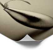 Aged sepia toned tulip in vase poster (Hoek)