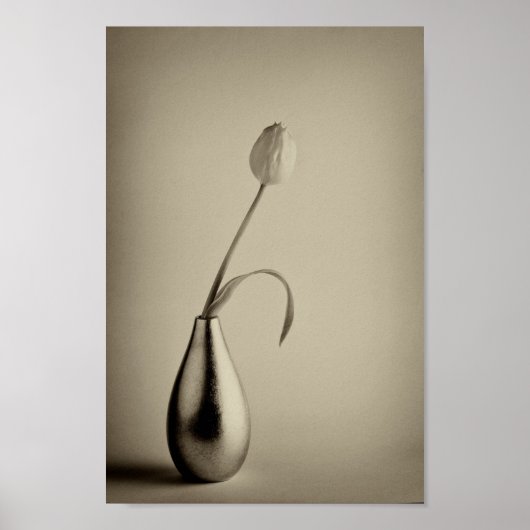 Aged sepia toned tulip in vase poster (Voorkant)