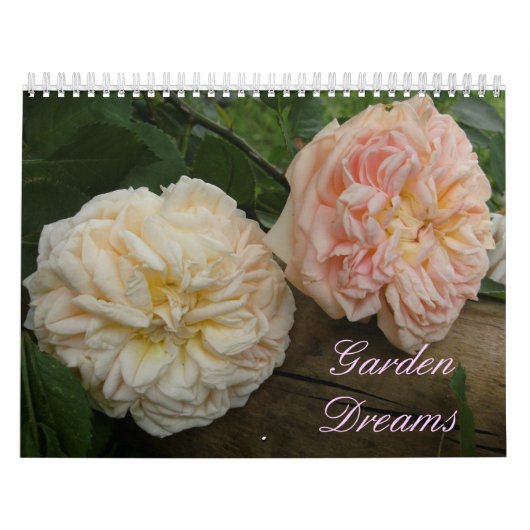 Agenda 18 maanden kalender (Hoes)