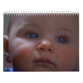 Agenda 2007 kalender (Hoes)