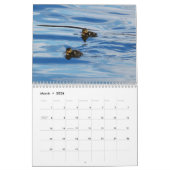 Agenda 2008 van Diana Carroll Kalender (Mar 2026)