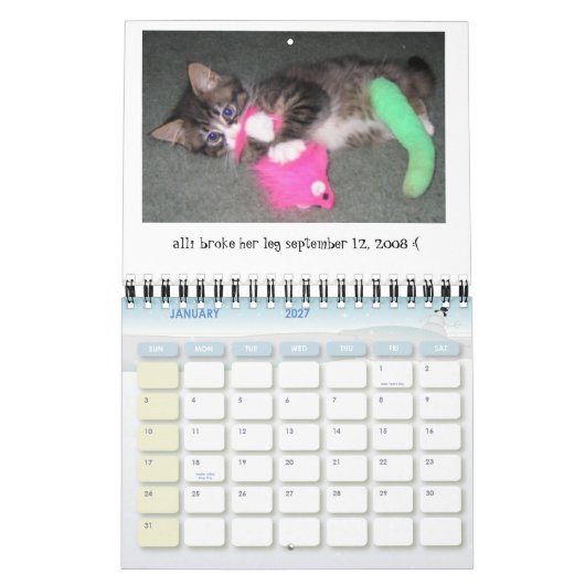 Agenda 2009-2010 van Alli's Day Mini Kalender (Jan 2027)