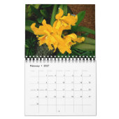 Agenda 2009: Een jaar van orchideeën uit Hawaï Kalender (Feb 2027)
