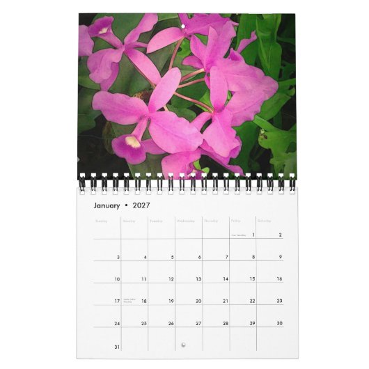 Agenda 2009: Een jaar van orchideeën uit Hawaï Kalender (Jan 2027)
