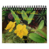 Agenda 2009: Een jaar van orchideeën uit Hawaï Kalender (Hoes)